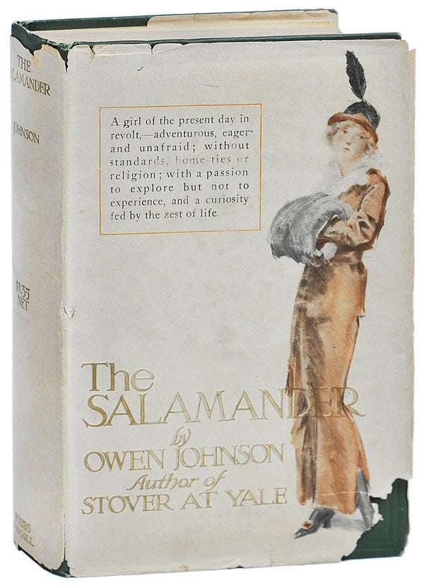 Item #1874 THE SALAMANDER. Owen Johnson, Everett Shinn, novel, illustrations.