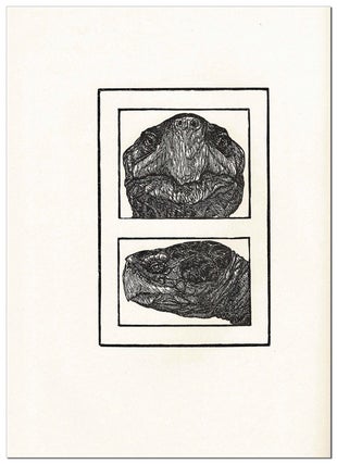 TORTOISES: SIX POEMS - LIMITED EDITION, SIGNED